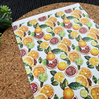 Citrus Slices Polymer Clay Transfer Sheet – Orange, Lemon, Lime & Grapefruit Summer Design