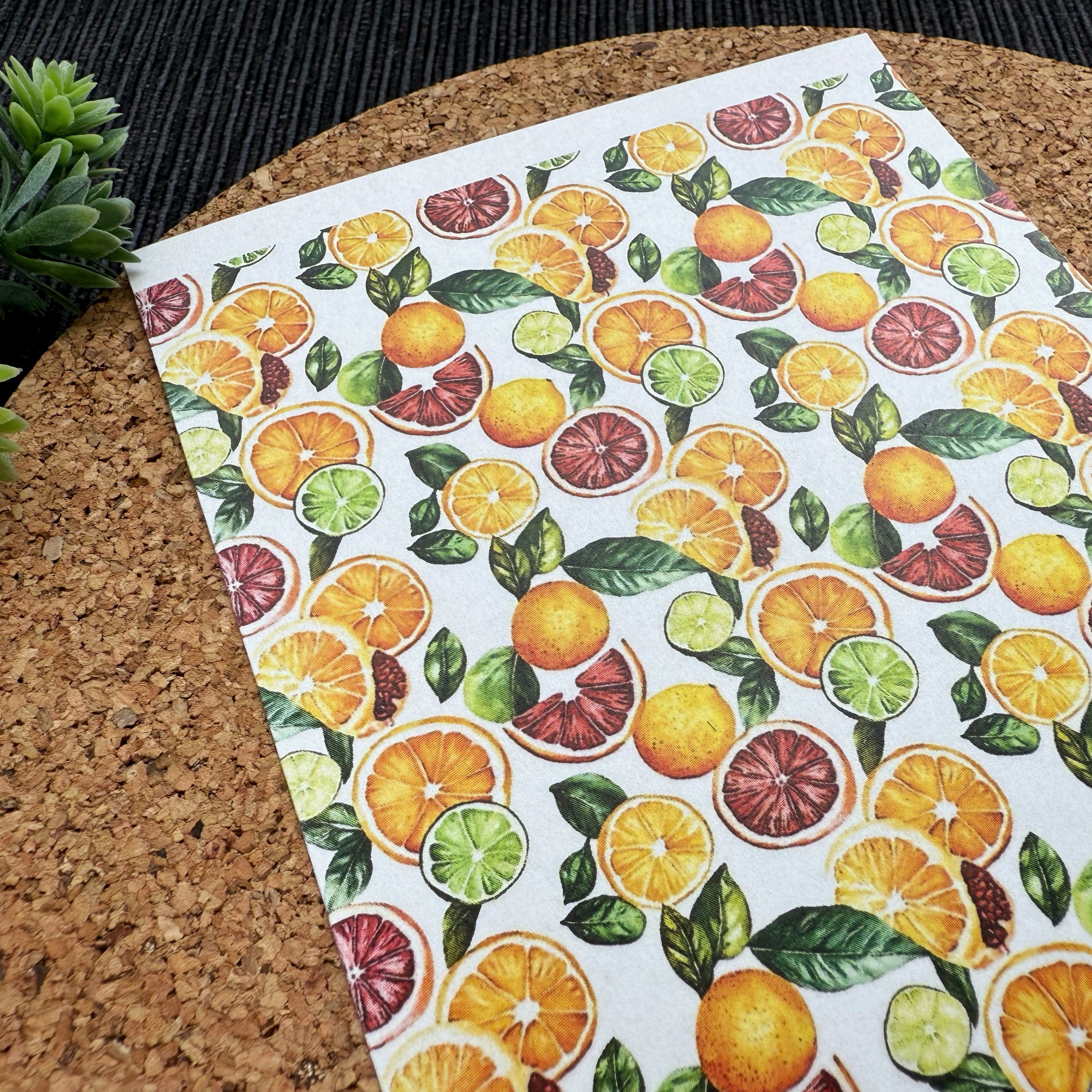 Citrus Slices Polymer Clay Transfer Sheet – Orange, Lemon, Lime & Grapefruit Summer Design