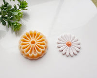 Daisy Flower Clay Cutter | Floral Polymer Clay Cutter for Jewelry Making