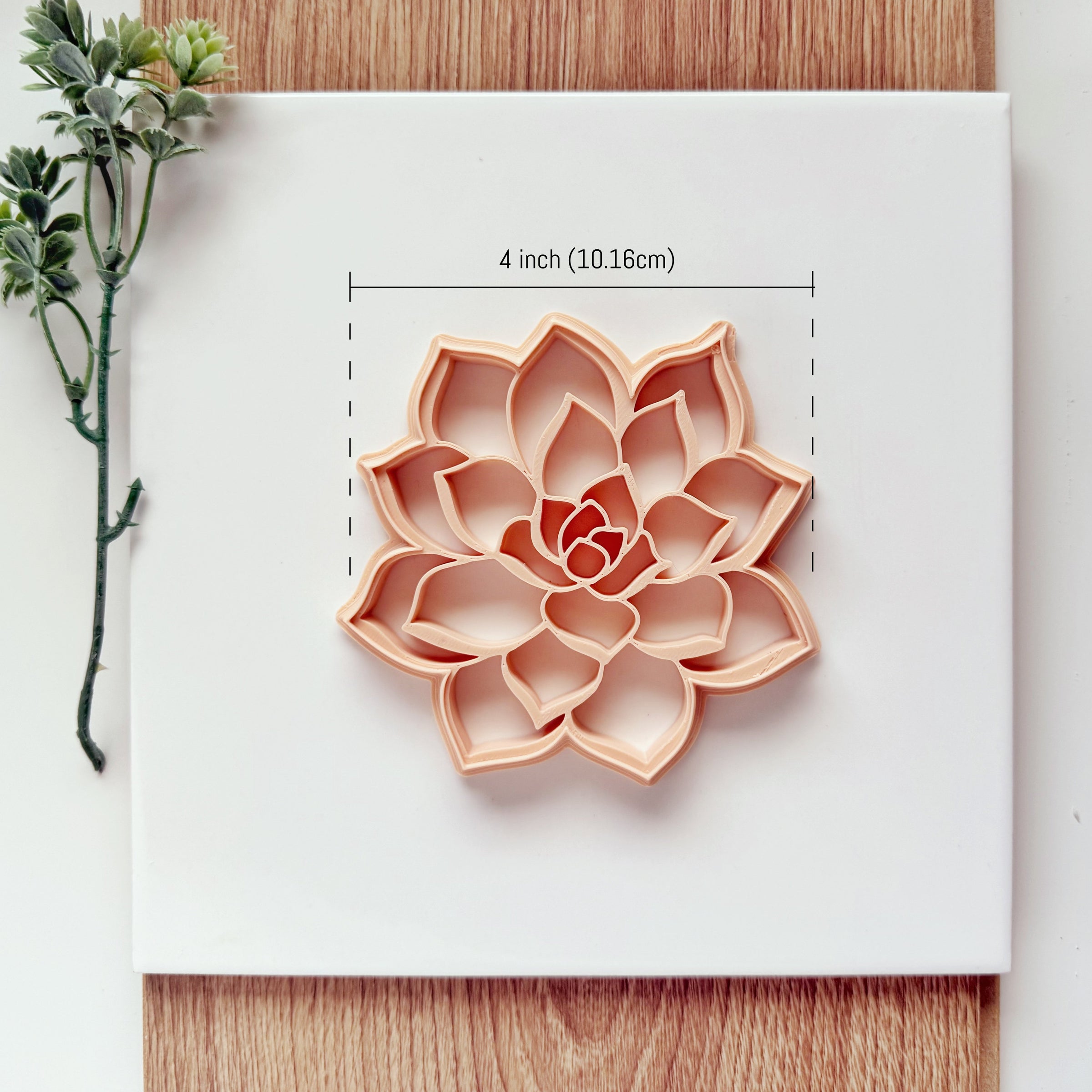 Succulent Echeveria Trinket Dish Clay Cutter