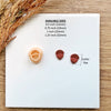 Acorn Clay Cutter | Fall 2025 Earring Tool with Stud Size Option | 4 Sizes