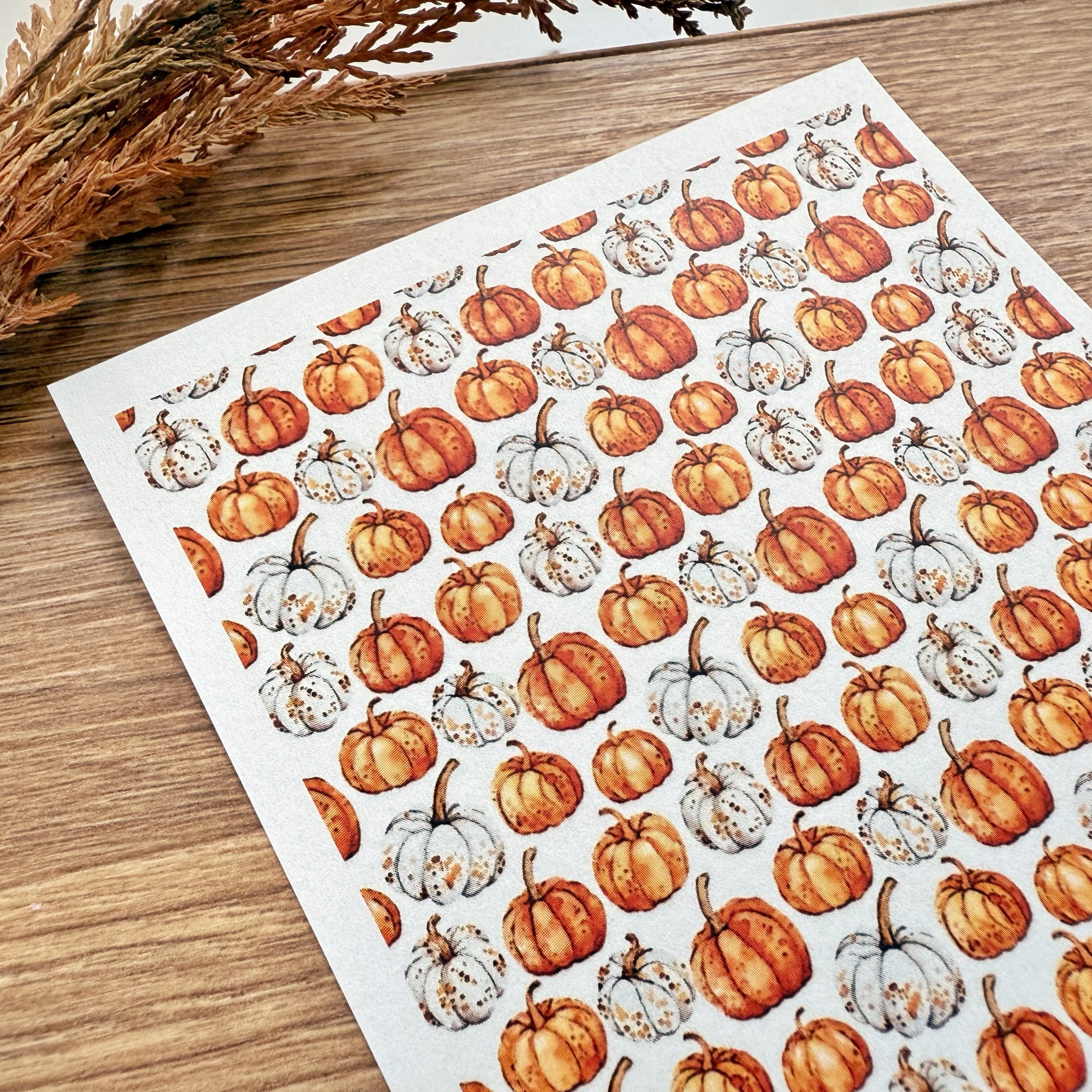 Pumpkin Patch Polymer Clay Transfer Sheet – Orange & White Fall Pumpkins (3.9"x5")