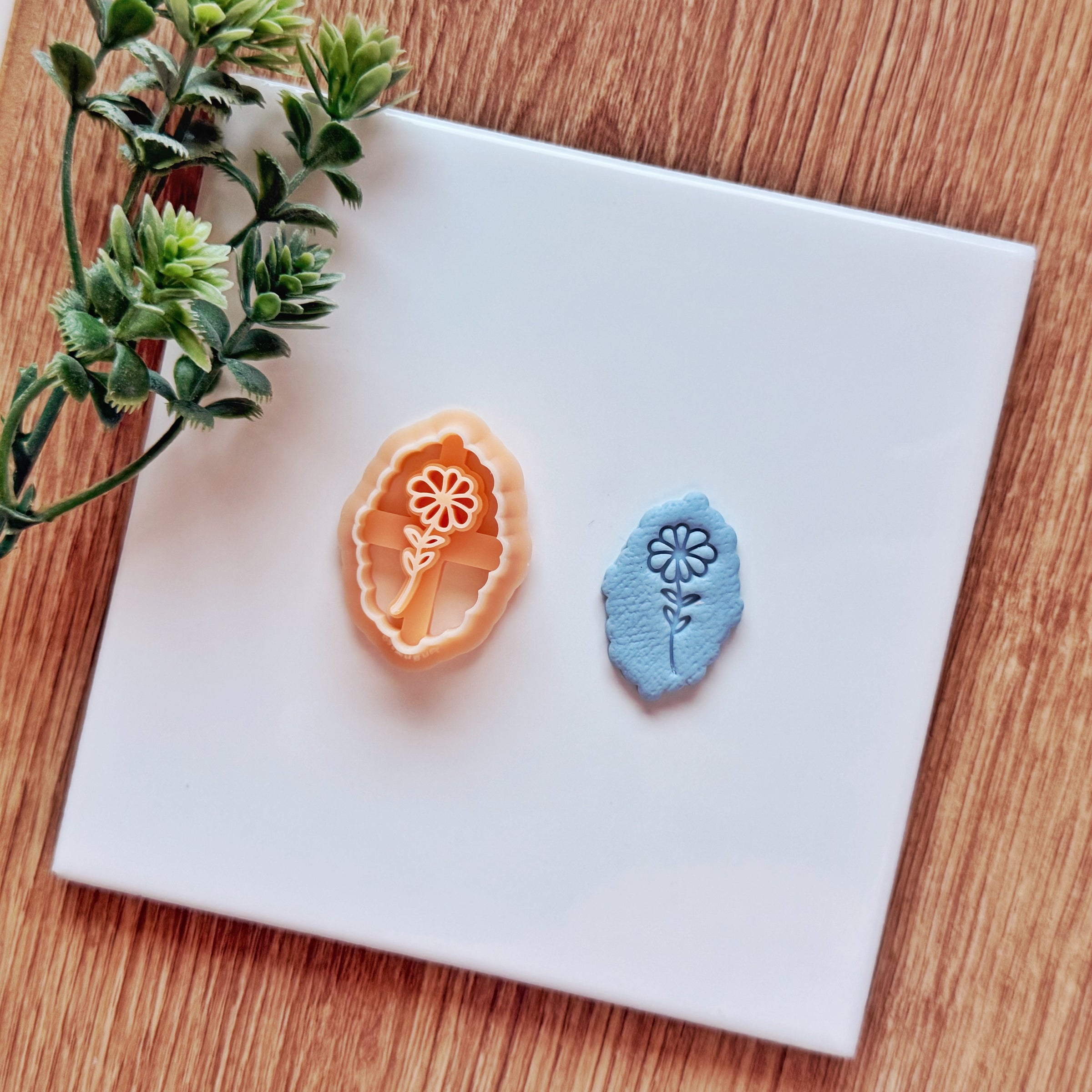 September Birth Flower Aster Clay Cutter