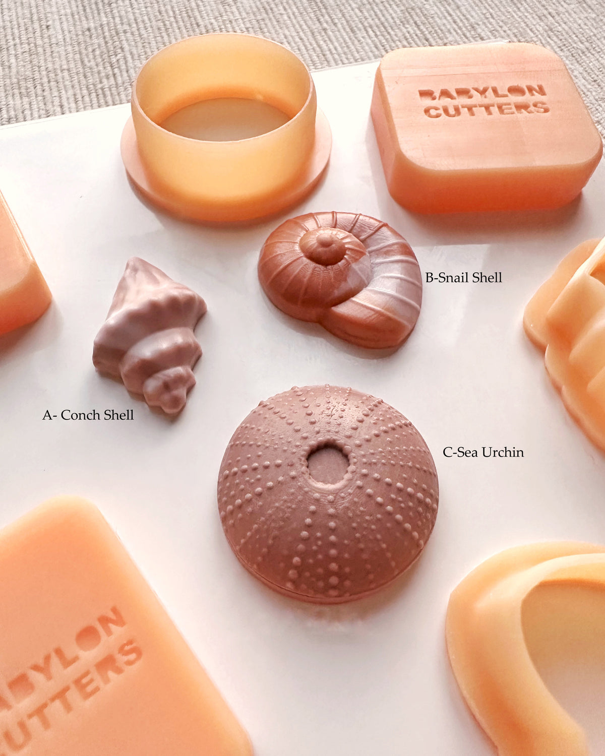 Seashells 3D Clay Cutter & Mold - 3D Cutters